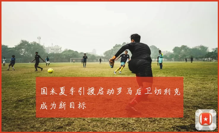 国米夏季引援启动罗马后卫切利克成为新目标